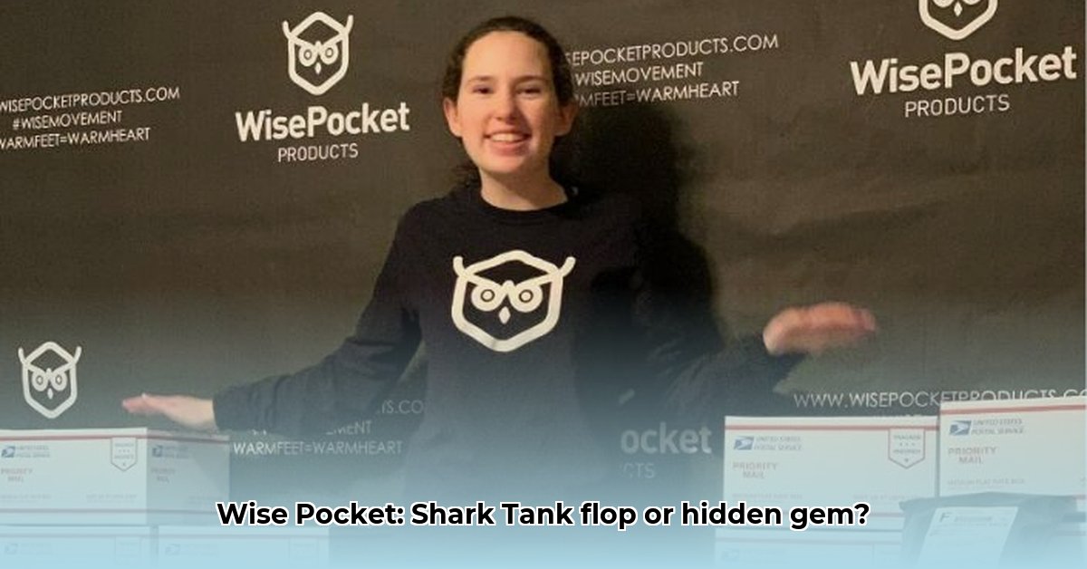 wise-pocket-products-net-worth